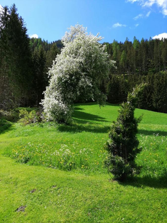 Pension Stoffler Sankt Veit in Defereggen ภายนอก รูปภาพ